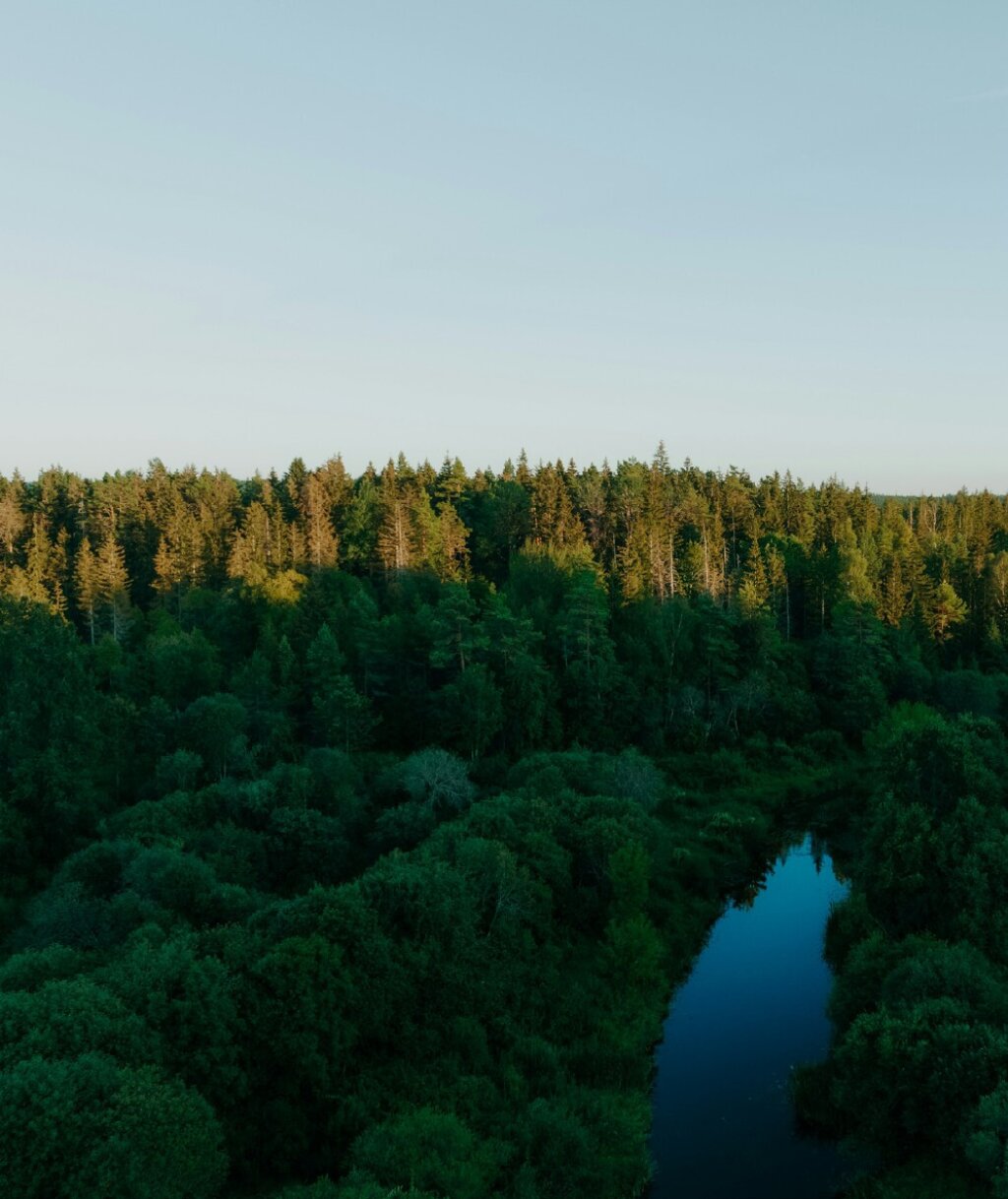 How insurance can accelerate carbon removal